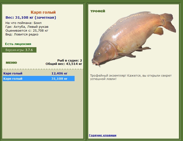 Карп голый 