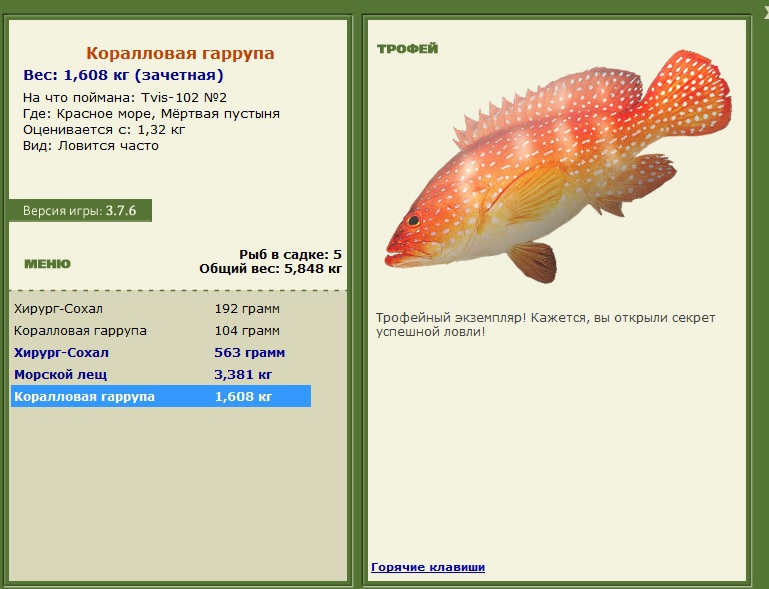 Коралловая гаррупа 