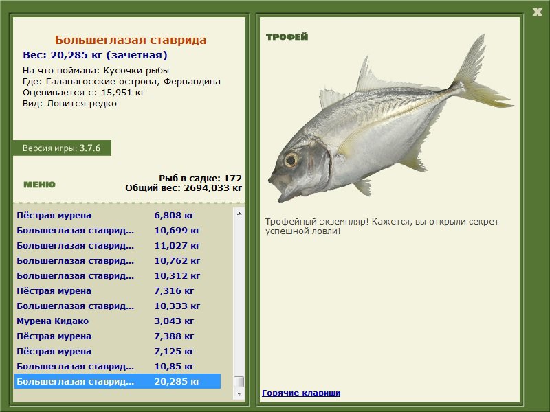 Большеглазая ставрида 