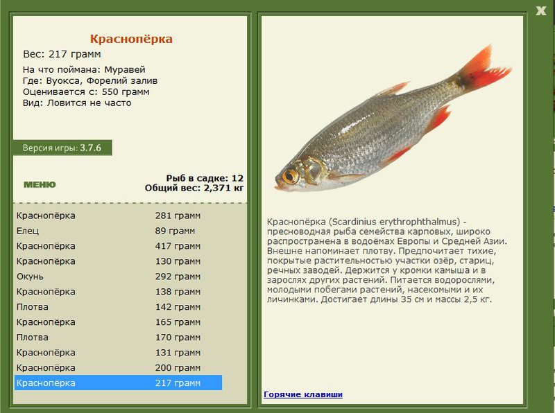 РУССКАЯ РЫБАЛКА Installsoft Edition 