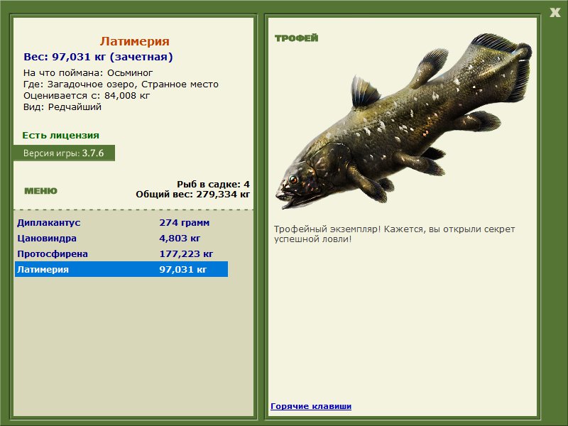 Учимся использовать BBcode в сообщениях 