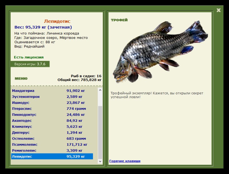 Учимся использовать BBcode в сообщениях 