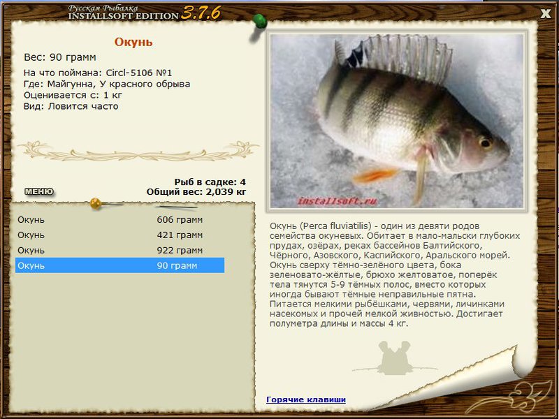 РУССКАЯ РЫБАЛКА Installsoft Edition 