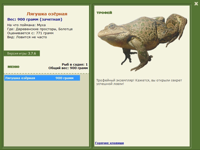 Болотце 