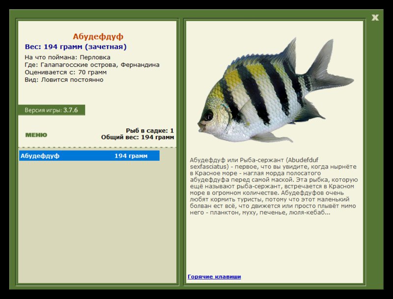 Учимся использовать BBcode в сообщениях 
