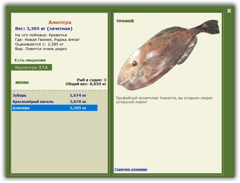 Учимся использовать BBcode в сообщениях 