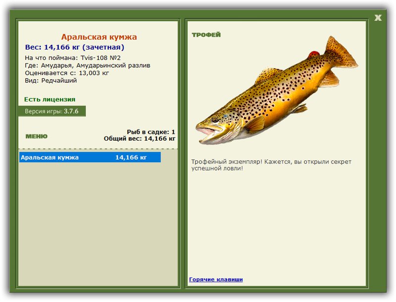 Учимся использовать BBcode в сообщениях 