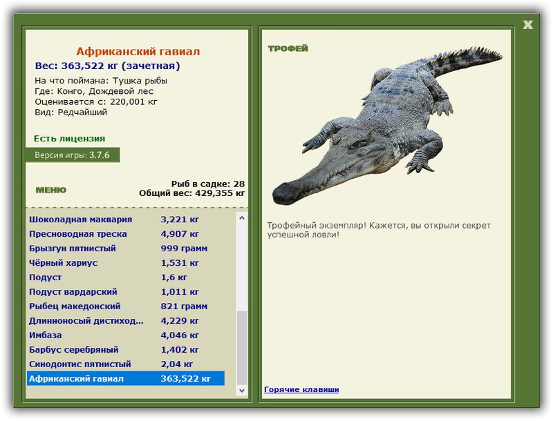 Учимся использовать BBcode в сообщениях 