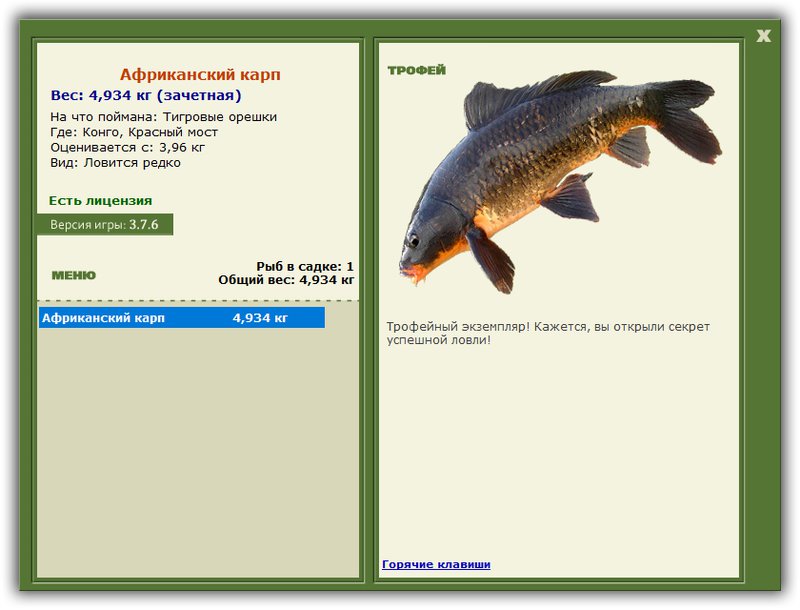 Учимся использовать BBcode в сообщениях 