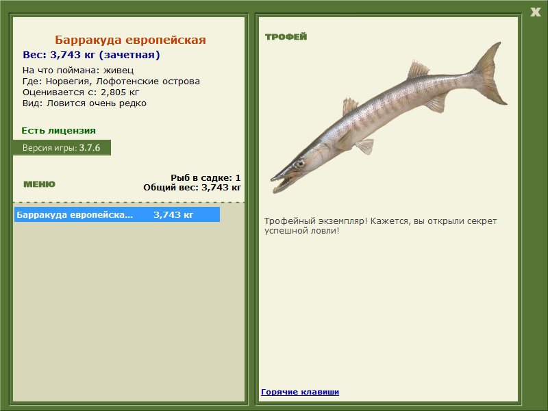 турниры • РУССКАЯ РЫБАЛКА