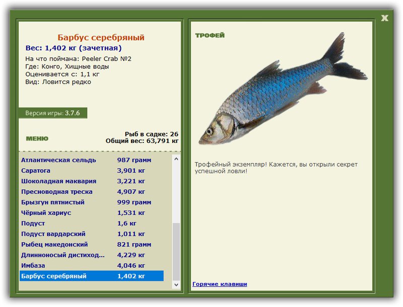 Учимся использовать BBcode в сообщениях 