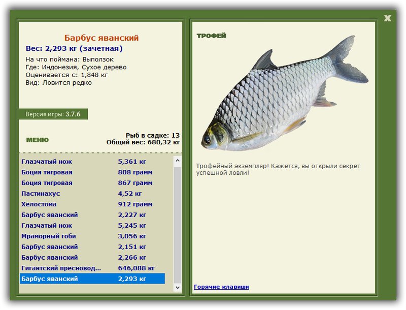 Учимся использовать BBcode в сообщениях 