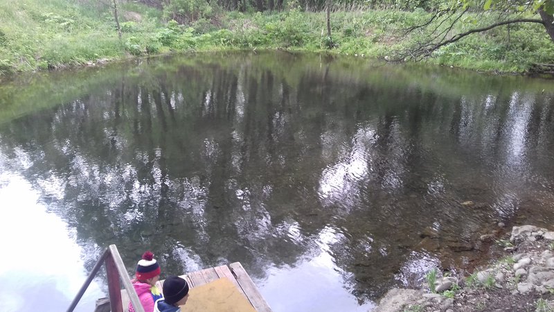  Страница 7 - Форум \\