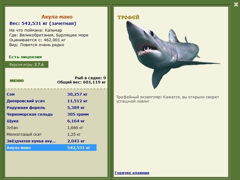 Бурлящее море 