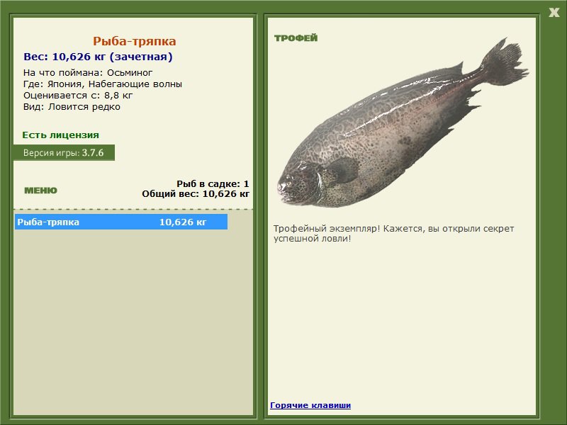 Набегающие волны 