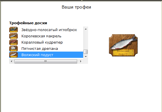 турниры • РУССКАЯ РЫБАЛКА