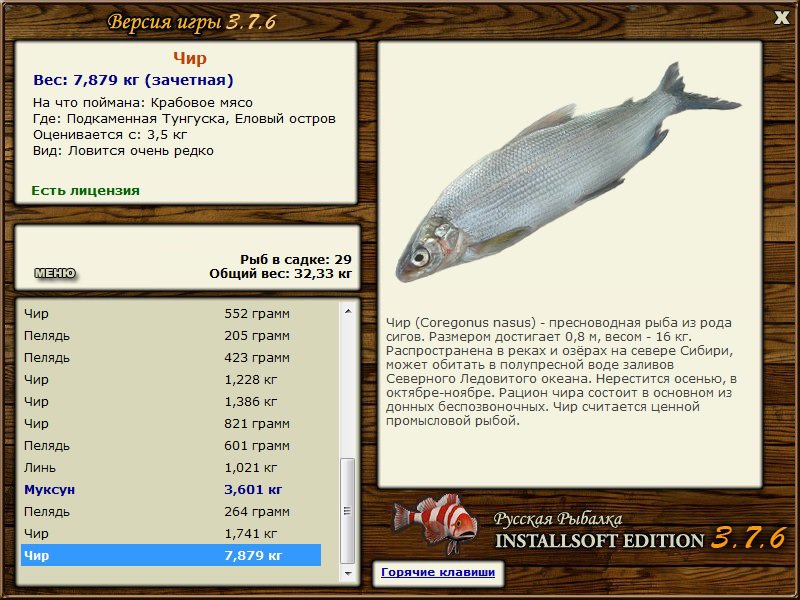 Еловый остров 