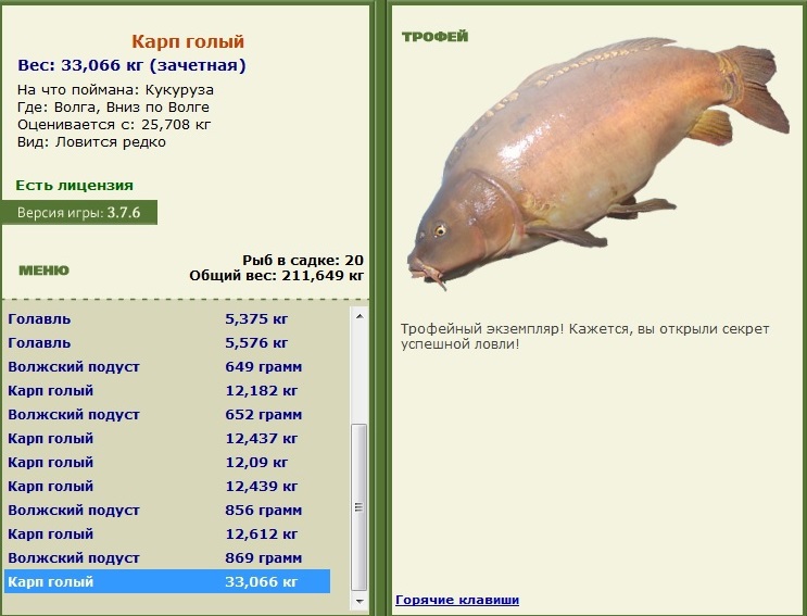 Заявки на рекорд 