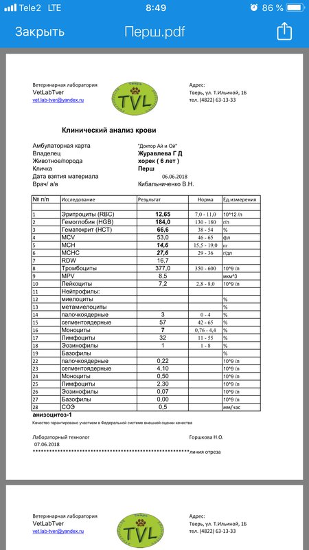  Просмотр темы - Перш из Твери нуждается в лечении!