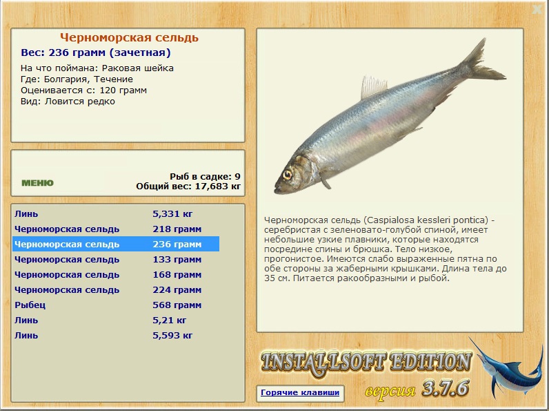 Течение 