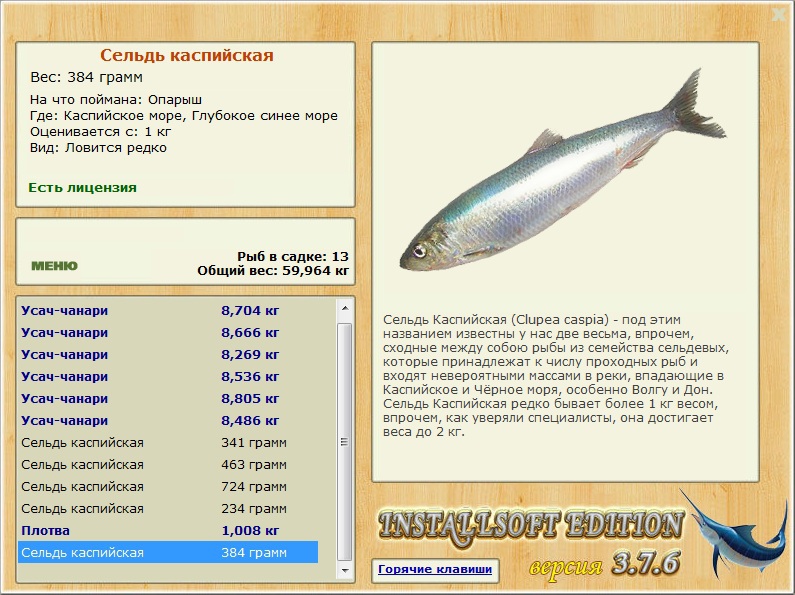 Глубокое синее море 