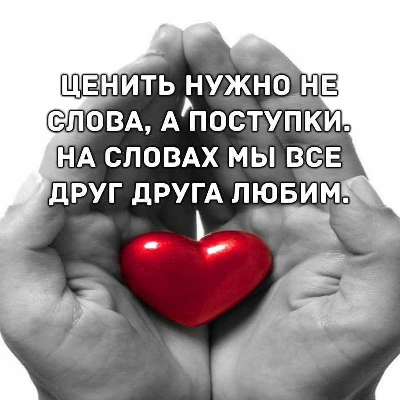  Мудрые высказывания,афоризмы...