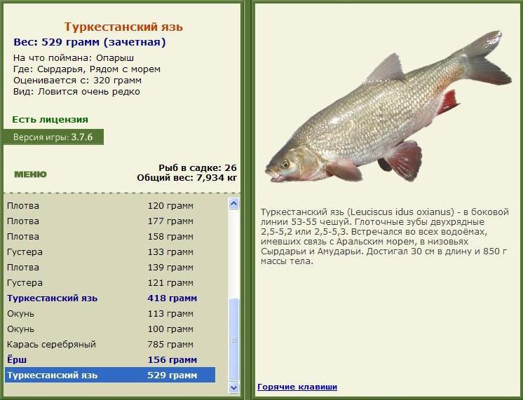 Рядом с морем 