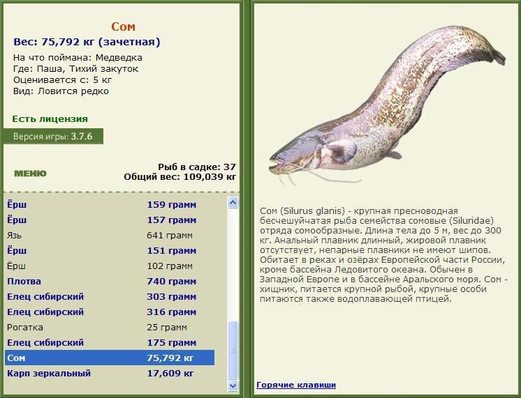 Тихий закуток 