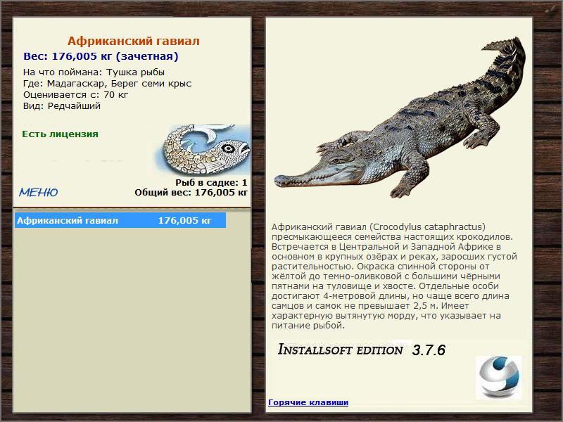 Берег семи крыс 