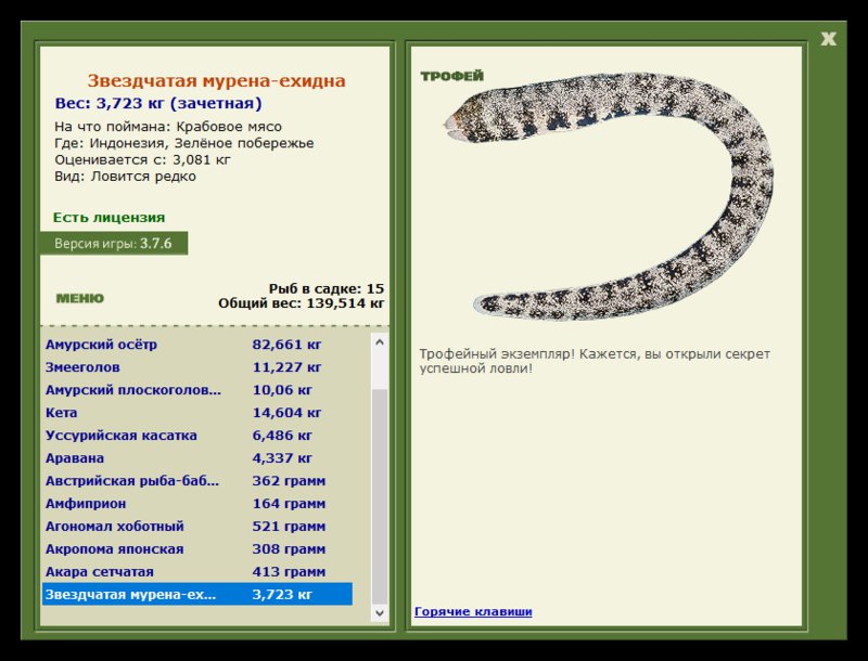 Заявки на рекорд 