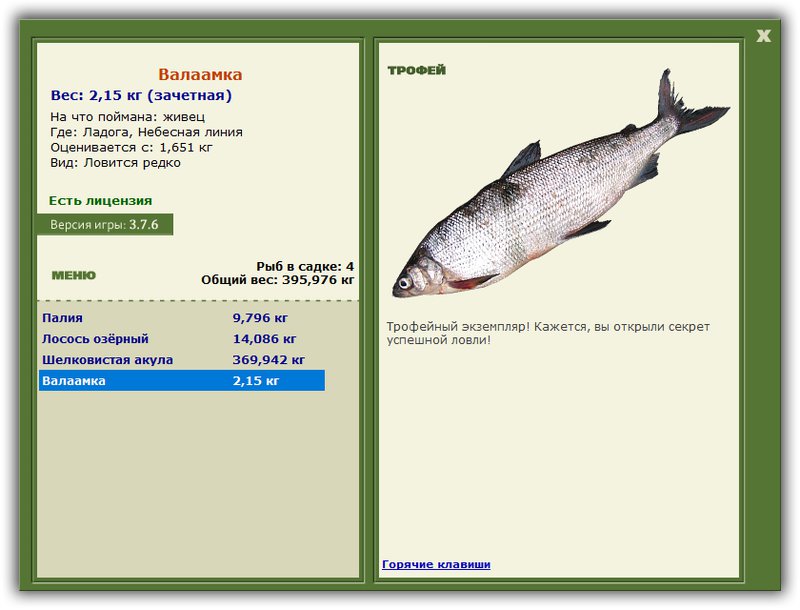 Учимся использовать BBcode в сообщениях 