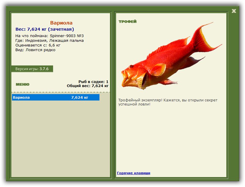 Учимся использовать BBcode в сообщениях 