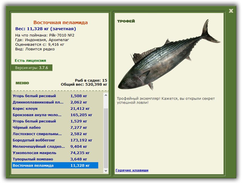 Учимся использовать BBcode в сообщениях 