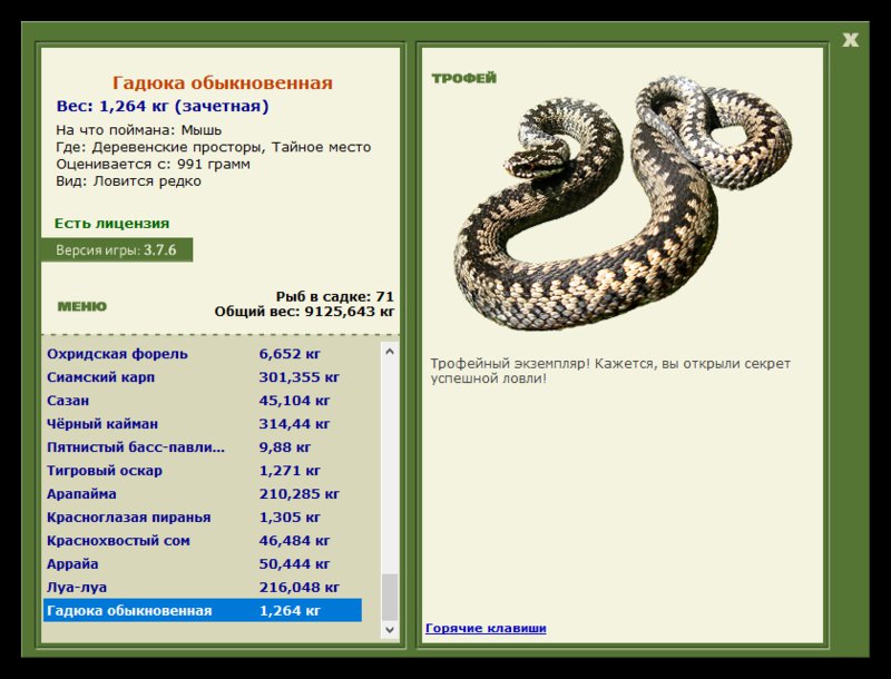 Учимся использовать BBcode в сообщениях 