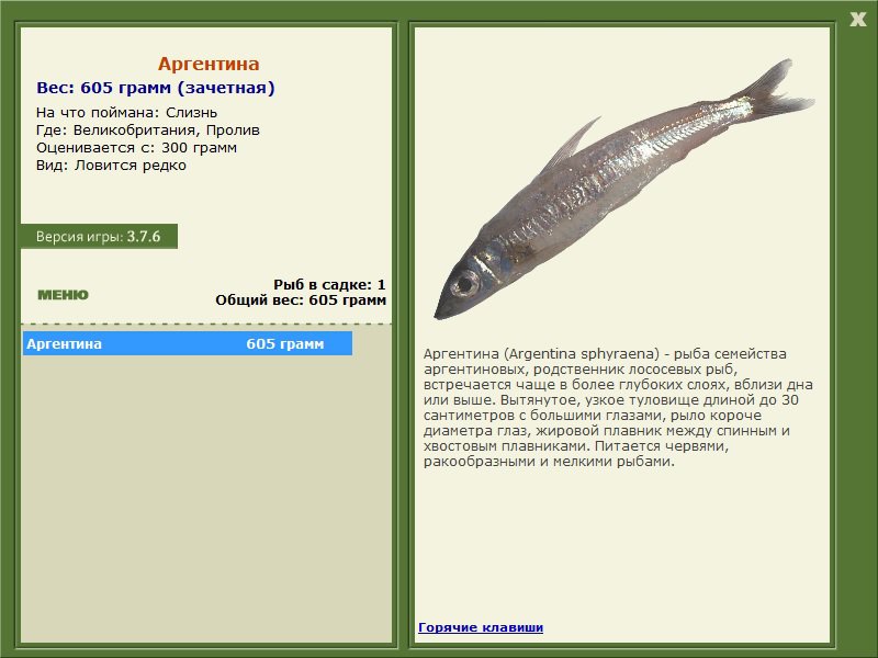 Пролив 