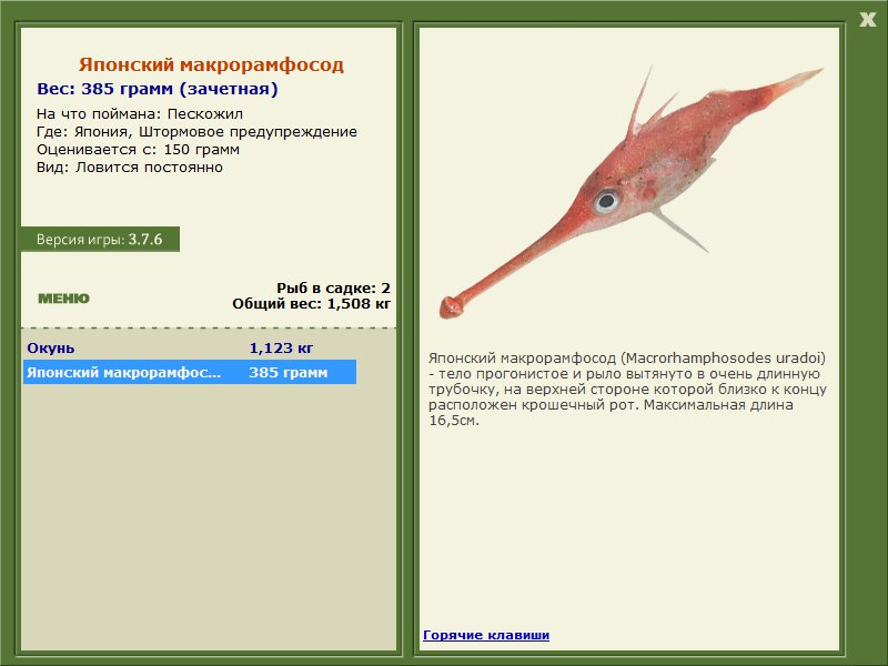 Заявки на рекорд 