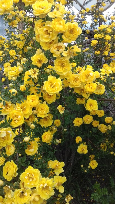  Страница 7 - Форум \\