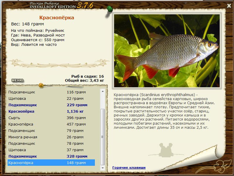 РУССКАЯ РЫБАЛКА Installsoft Edition 