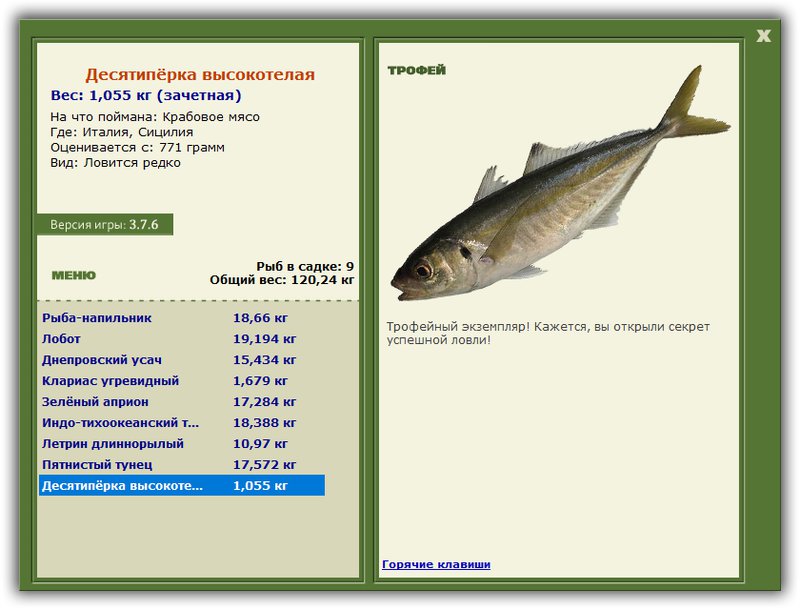 Учимся использовать BBcode в сообщениях 