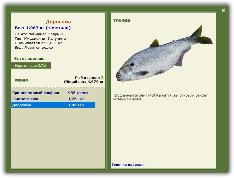 Учимся использовать BBcode в сообщениях 