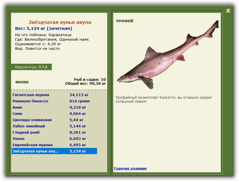 Учимся использовать BBcode в сообщениях 