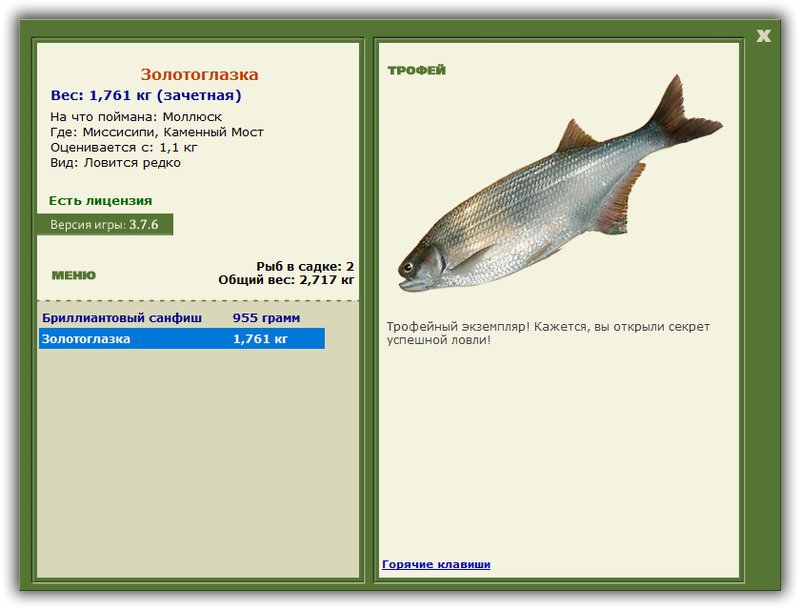 Учимся использовать BBcode в сообщениях 