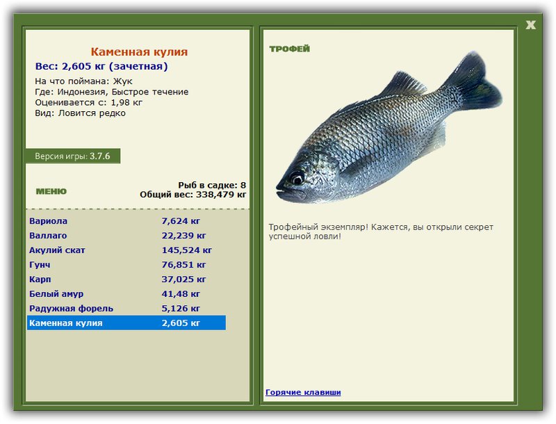 Учимся использовать BBcode в сообщениях 