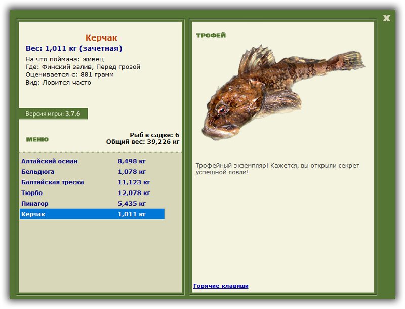 Учимся использовать BBcode в сообщениях 