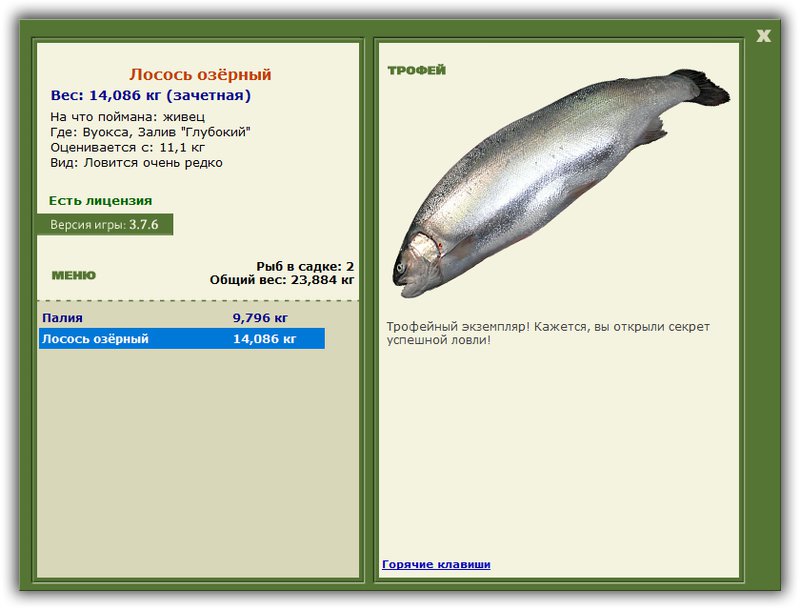 Учимся использовать BBcode в сообщениях 