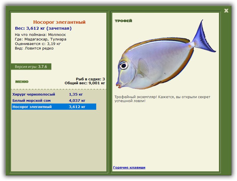 Учимся использовать BBcode в сообщениях 
