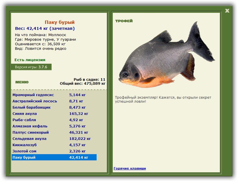 РУССКАЯ РЫБАЛКА Installsoft Edition 