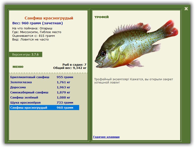 Учимся использовать BBcode в сообщениях 