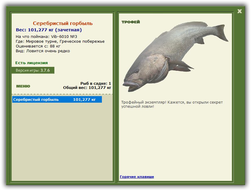 Учимся использовать BBcode в сообщениях 