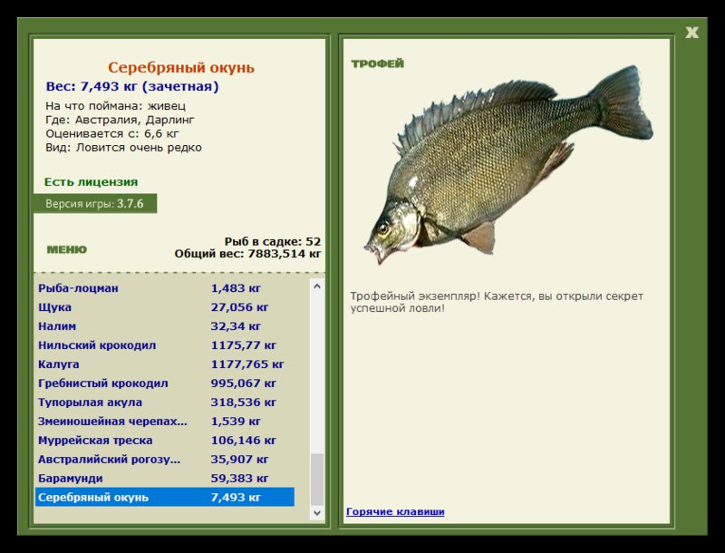 Учимся использовать BBcode в сообщениях 